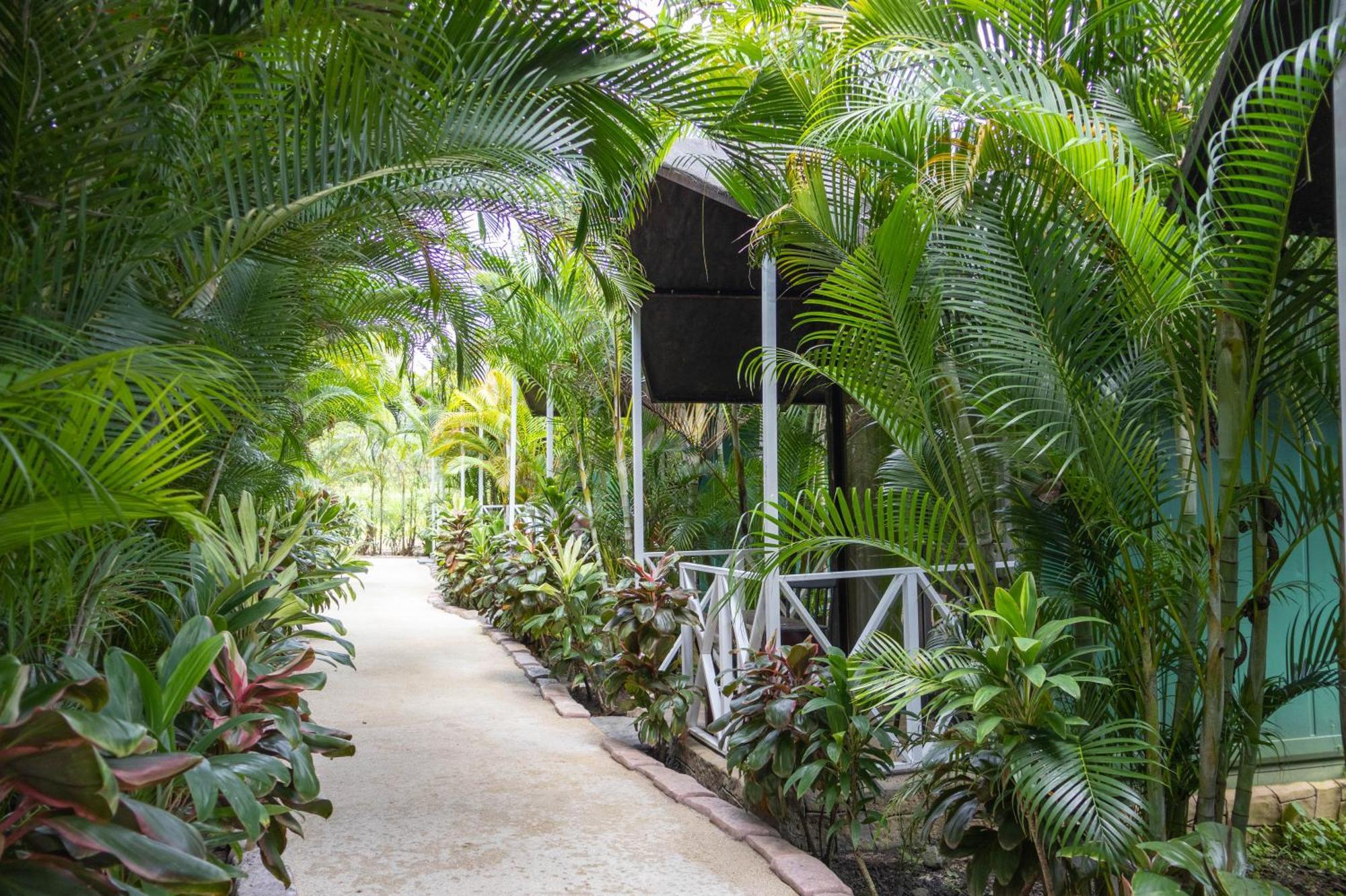 Hotel Relax Termalitas - Thermal Water La Fortuna Exterior foto